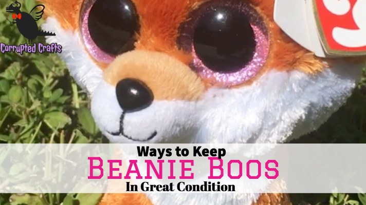 Where to get beanie boos