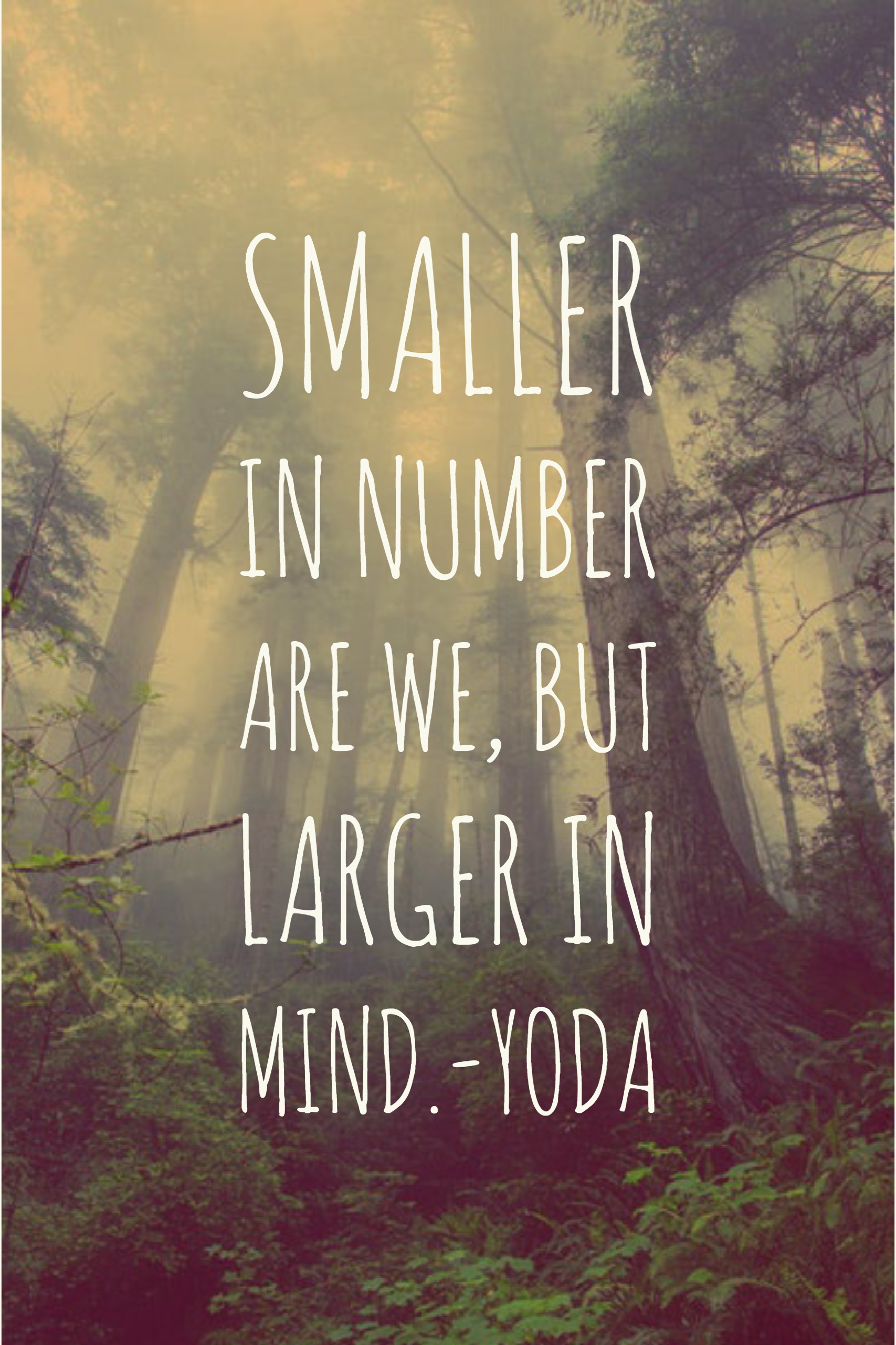 Smaller in number are we, but larger in mind.-Yoda
