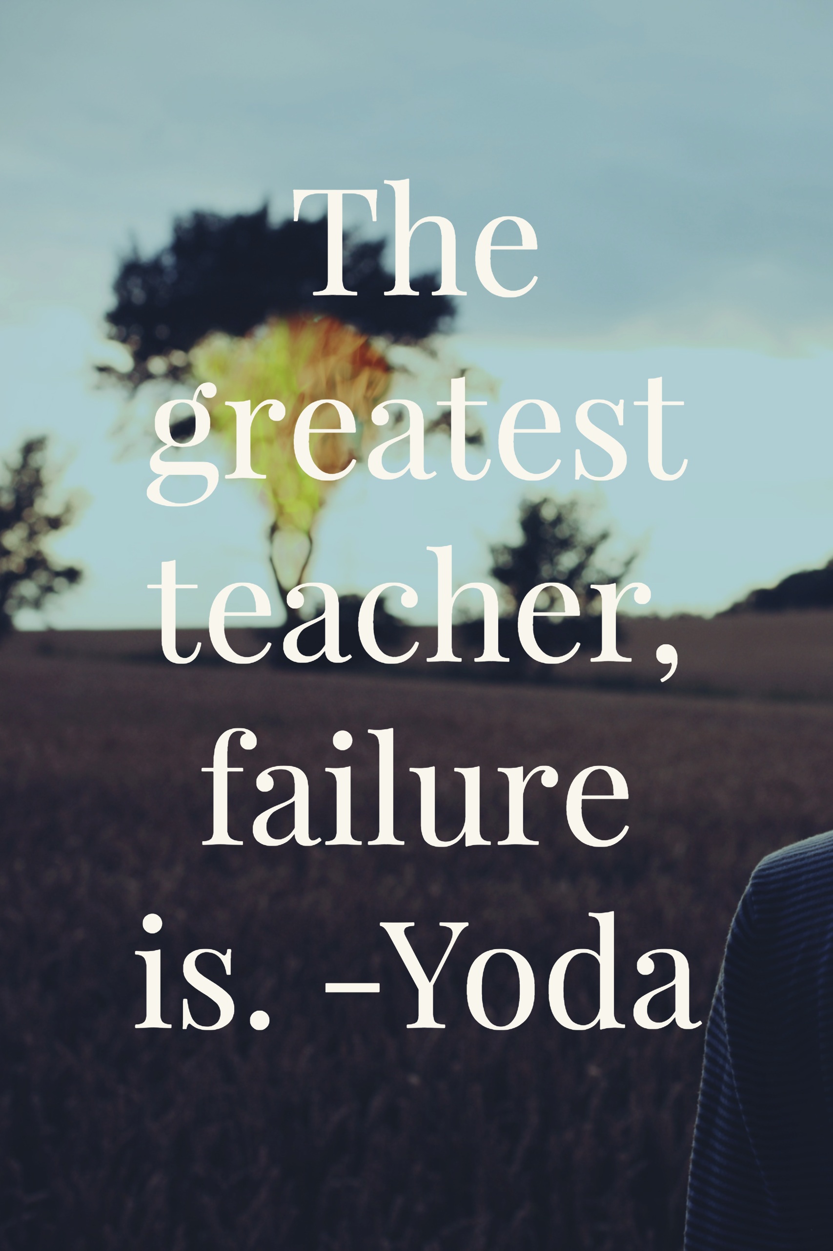 The greatest teacher, failure is.-yoda