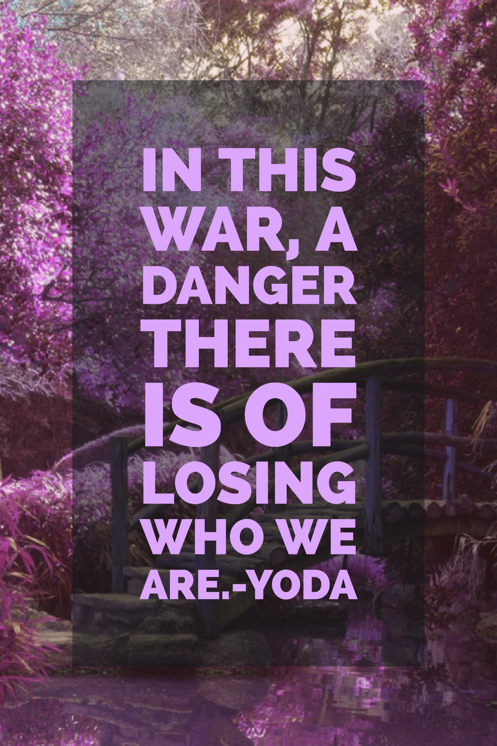 In this war, a danger there is of losing who we are.-Yoda